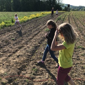 Fotky z družinových schůzek Lišek
