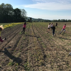 Fotky z družinových schůzek Lišek