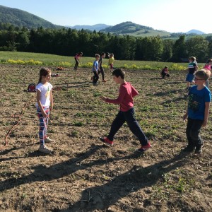 Fotky z družinových schůzek Lišek