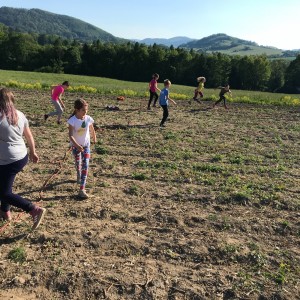 Fotky z družinových schůzek Lišek