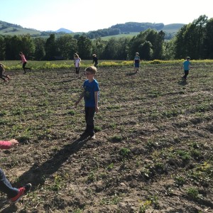 Fotky z družinových schůzek Lišek