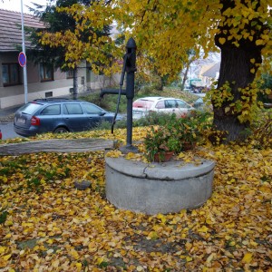 Po stopách cestovatele Lišky, 1. týden, selfie za 1 bod