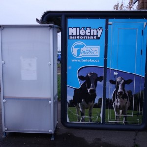 Po stopách cestovatele Lišky, 1. týden, selfie za 1 bod