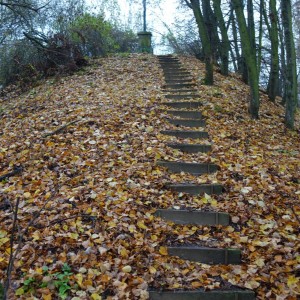 Po stopách cestovatele Lišky, 1. týden, selfie za 2 body