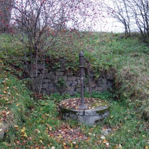 Po stopách cestovatele Lišky, 1. týden, selfie za 2 body