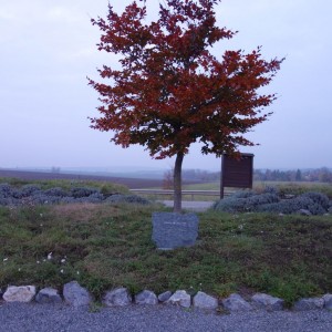 Po stopách cestovatele Lišky, 1. týden, selfie za 2 body