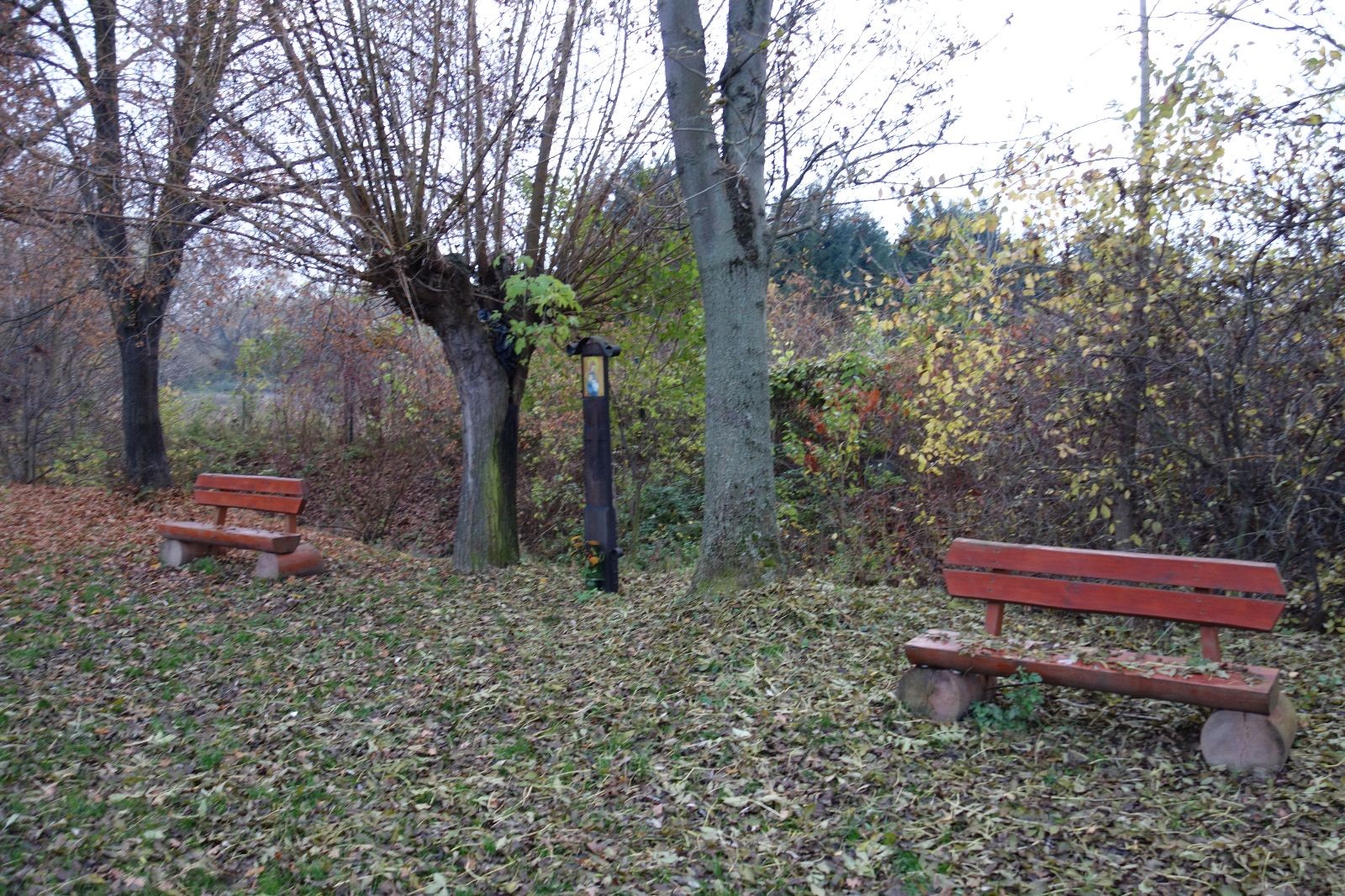 Po stopách cestovatele Lišky, 2. týden, selfie za 2 body
