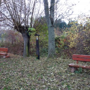 Po stopách cestovatele Lišky, 2. týden, selfie za 2 body