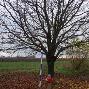 Po stopách cestovatele Lišky, 2. týden, selfie za 2 body