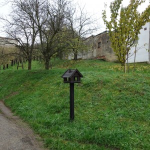 Po stopách cestovatele Lišky, 2. týden, selfie za 2 body