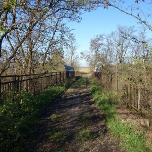 Po stopách cestovatele Lišky, 2. týden, selfie za 2 body