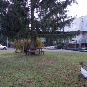 Po stopách cestovatele Lišky, 3. týden, selfie za 1 bod