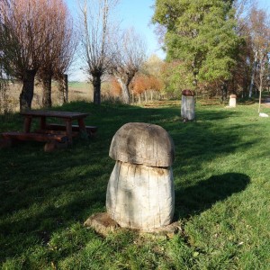 Po stopách cestovatele Lišky, 3. týden, selfie za 1 bod