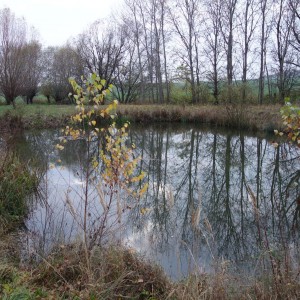 Po stopách cestovatele Lišky, 3. týden, selfie za 2 body
