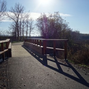 Po stopách cestovatele Lišky, 4. týden, selfie za 1 bod