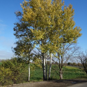 Po stopách cestovatele Lišky, 4. týden, selfie za 2 body