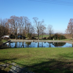 Po stopách cestovatele Lišky, 4. týden, selfie za 2 body