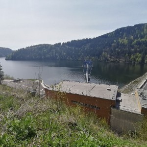 Křížcci na Lysé hoře