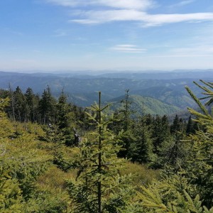 Křížcci na Lysé hoře