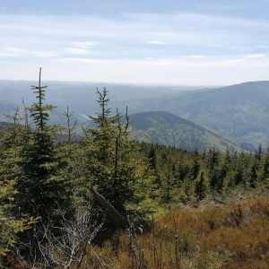 Křížcci na Lysé hoře