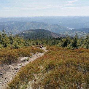 Křížcci na Lysé hoře