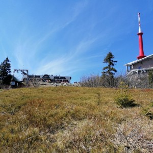 Křížcci na Lysé hoře