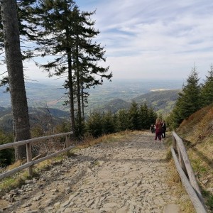 Křížcci na Lysé hoře