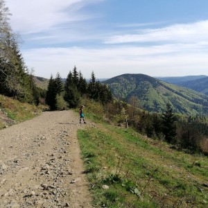 Křížcci na Lysé hoře