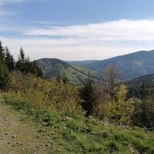 Křížcci na Lysé hoře