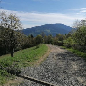 Křížcci na Lysé hoře