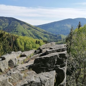 Křížcci na Lysé hoře