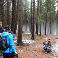 Výprava do Olešné