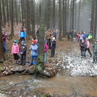 Výprava do Olešné