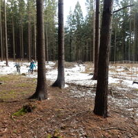 Výprava do Olešné