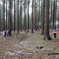 Výprava do Olešné