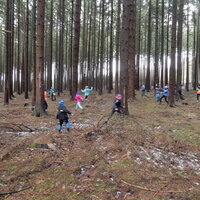 Výprava do Olešné