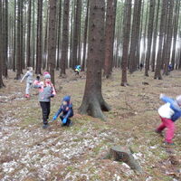 Výprava do Olešné