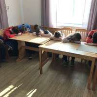 Výprava do Olešné