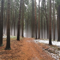 Výprava do Olešné