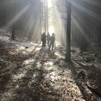 Výprava do Olešné