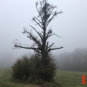 Po stopách cestovatele Lišky: Hukvaldy a okolí