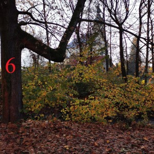 Po stopách cestovatele Lišky: Hukvaldy a okolí