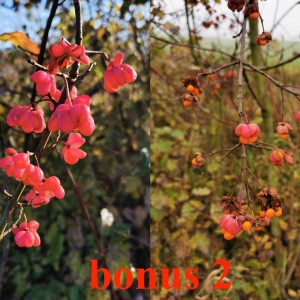 Po stopách cestovatele Lišky: Hukvaldy a okolí