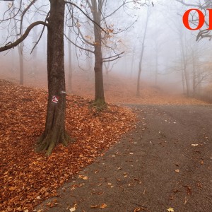 Po stopách cestovatele Lišky: Hukvaldy a okolí