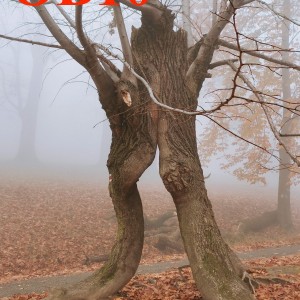 Po stopách cestovatele Lišky: Hukvaldy a okolí