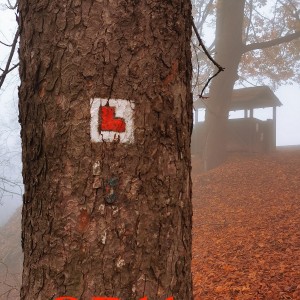 Po stopách cestovatele Lišky: Hukvaldy a okolí