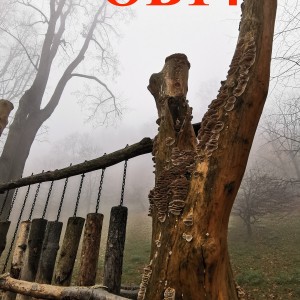 Po stopách cestovatele Lišky: Hukvaldy a okolí