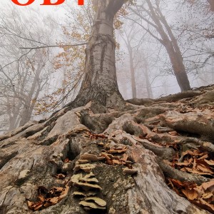 Po stopách cestovatele Lišky: Hukvaldy a okolí