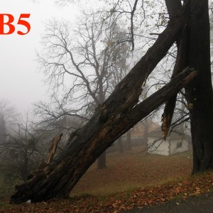 Po stopách cestovatele Lišky: Hukvaldy a okolí