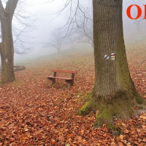 Po stopách cestovatele Lišky: Hukvaldy a okolí